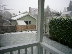 Snow in our backyard